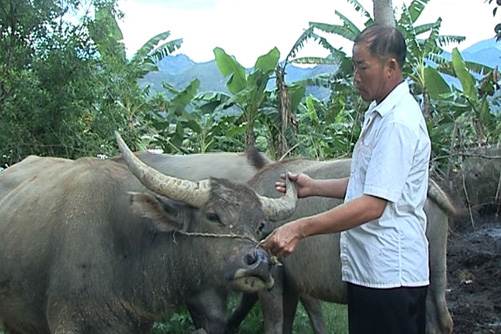 Lai Châu